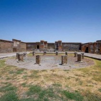 macellum (Small)