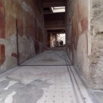 mozaic de la intrare intr-o casa (Small)