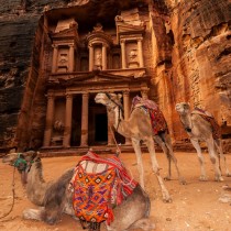 Camels, with the Treasury monument behind, Petra archaeological site (a UNESCO World Heritage site), Jordan.