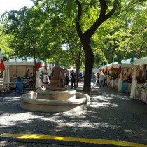 20160623_103843 (Large)