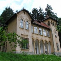 castelul-de-la-ciucea-goga