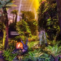 flower dome