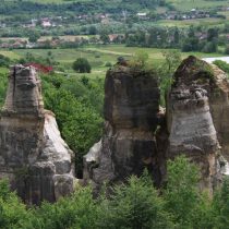 gradina zmeilor 2-min