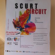 sectia de arta contemporana muzeu bistrita