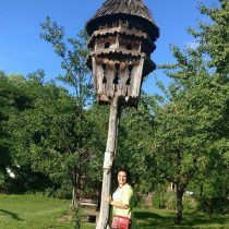 casa pasarilor la muzeul satului