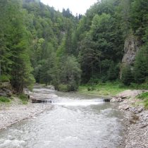 Picture 029