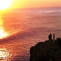 Apus in Bali