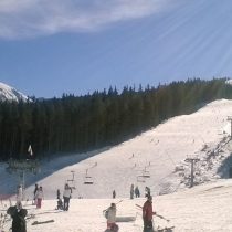 Partie Bansko