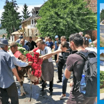 cover impanatul boului web