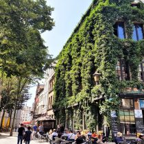 verde de antwerpen