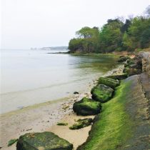 Studland Bay plaja