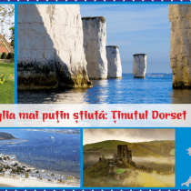 cover dorset