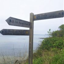 din Studland Bay