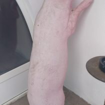 sangeorz bai muzeul de arta comaparta 3