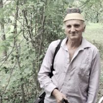 vasile oanea breb 1