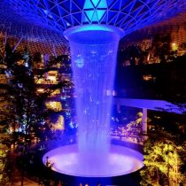 Vortex Changi albastr