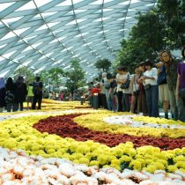 Petal Garden Jewel