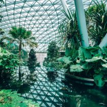 forest changi
