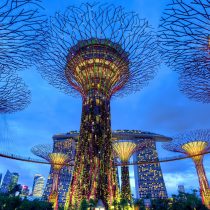 singapore vedere