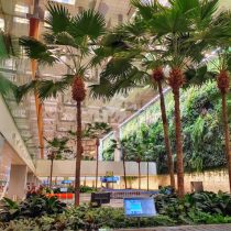Arrival Hall Changi