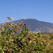 Etna