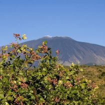 Etna (Medium)
