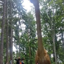 dino park 6