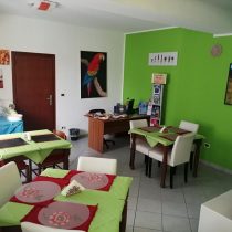 foto 13 (Medium)