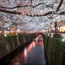 Meguro river