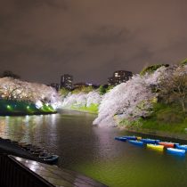 edo noaptea
