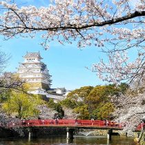 japonia foto alin anghelovici