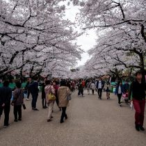 ueno parc
