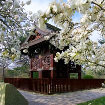 Gradina japoneza Kew Garden