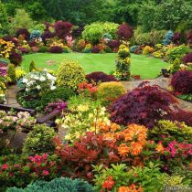 Coperta Gradinile Lumii