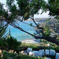 ayia napa (Medium)
