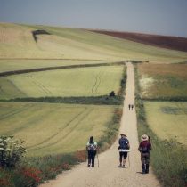 camino de santiago 5