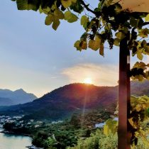 balcon Isl, v vert