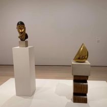 brancusi