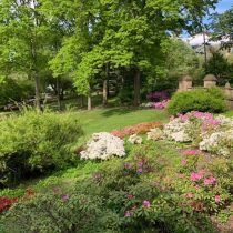 central park 1