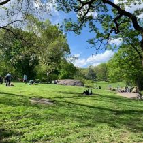 central park 3