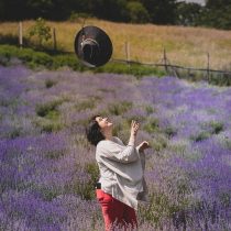 lavanda in maramures