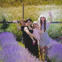 lavanda maramures