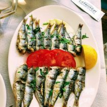 sardine 2