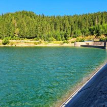 Lacul Bolboci5