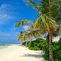 maldive