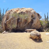 182440292_4434511826578082_3083387943308204846_n