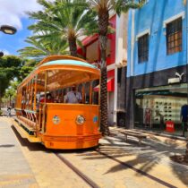 183549559_4443812222314709_4677694111378188934_n