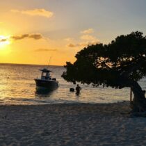 184547947_4453426128019985_6811672391267788503_n