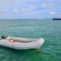 184795927_4453408098021788_5866336519608645162_n