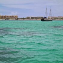 185289765_4453407981355133_1224741341075297495_n